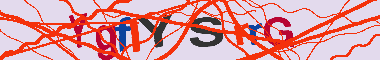 Codigo Captcha